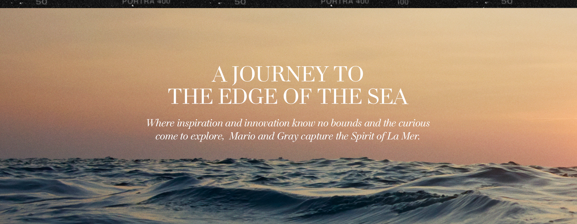 Journey to the edge of the sea