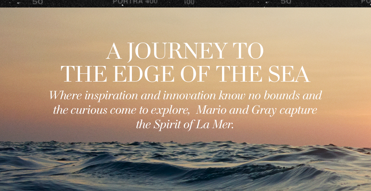 Journey to the edge of the sea